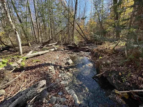 1350 Stellar Road Williamstown VT 05679