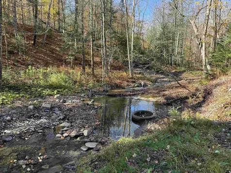 1350 Stellar Road Williamstown VT 05679