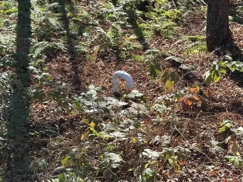 1350 Stellar Road Williamstown VT 05679