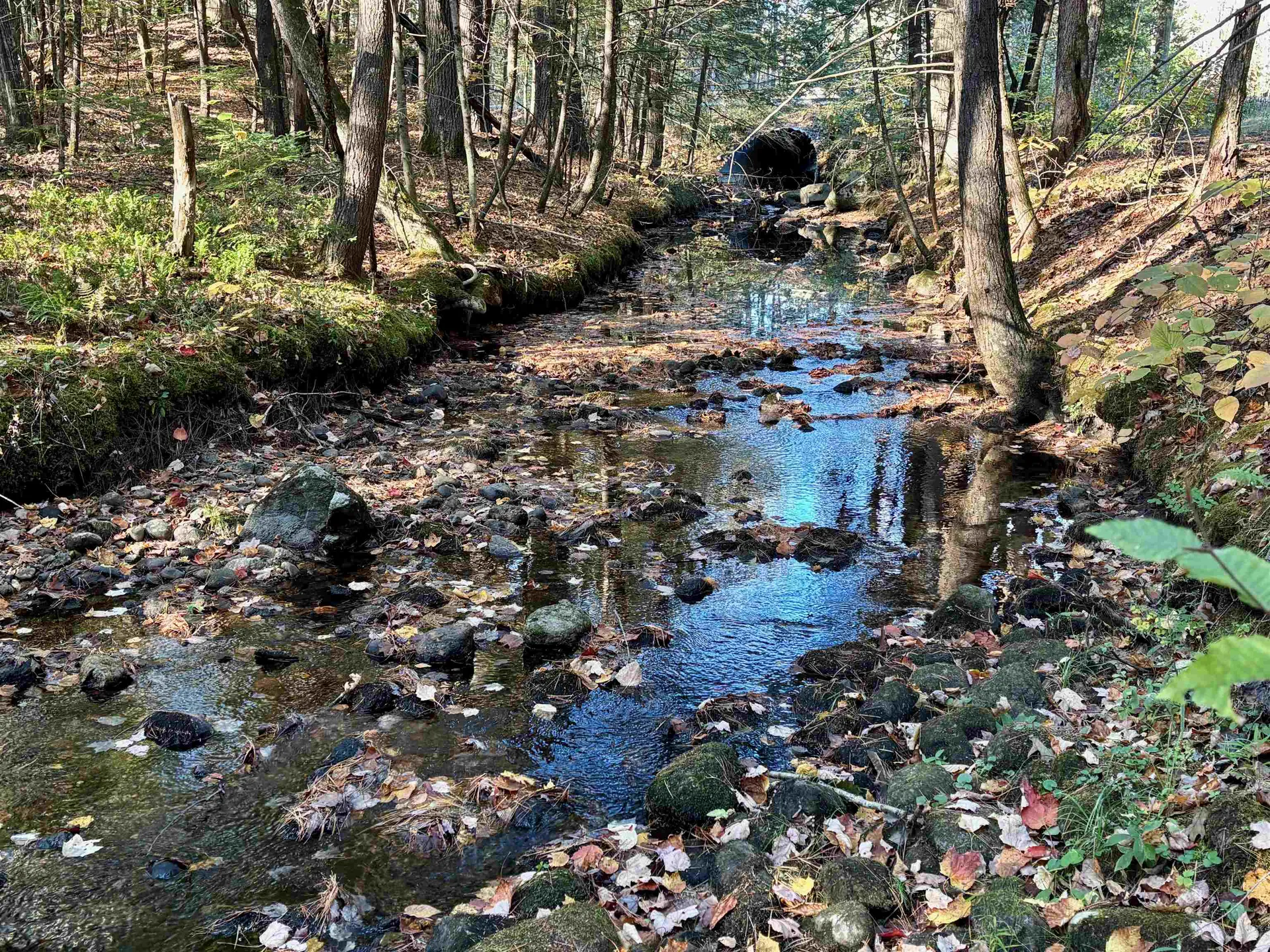 00 North Road Warner NH 03278