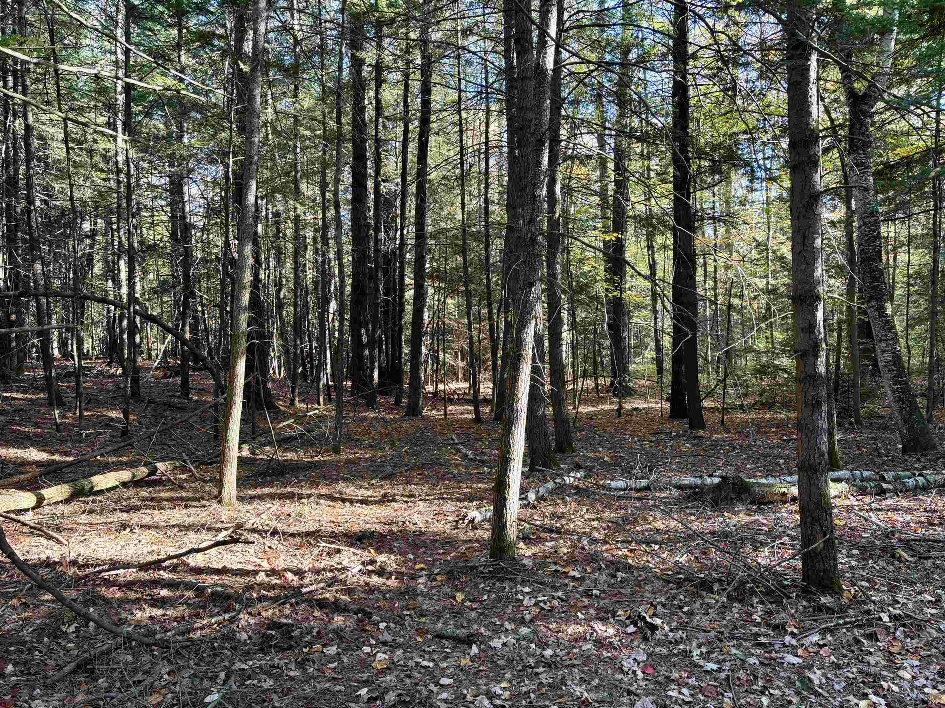 00 North Road Warner NH 03278