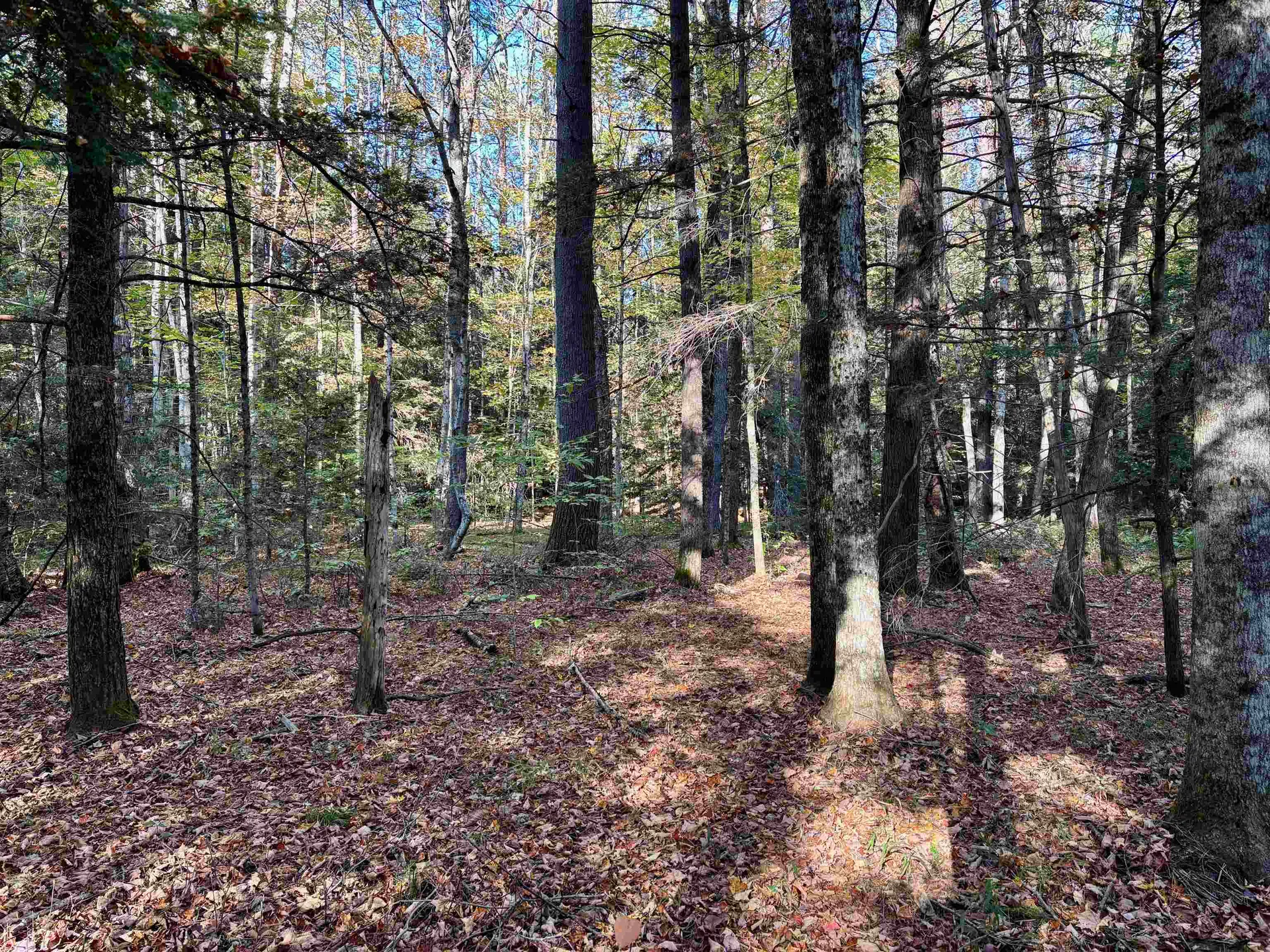 00 North Road Warner NH 03278