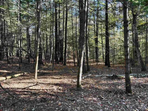 00 North Road Warner NH 03278