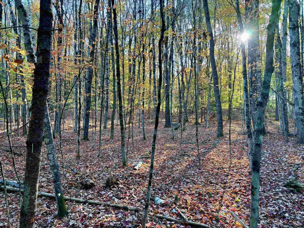 000 North Road Warner NH 03278