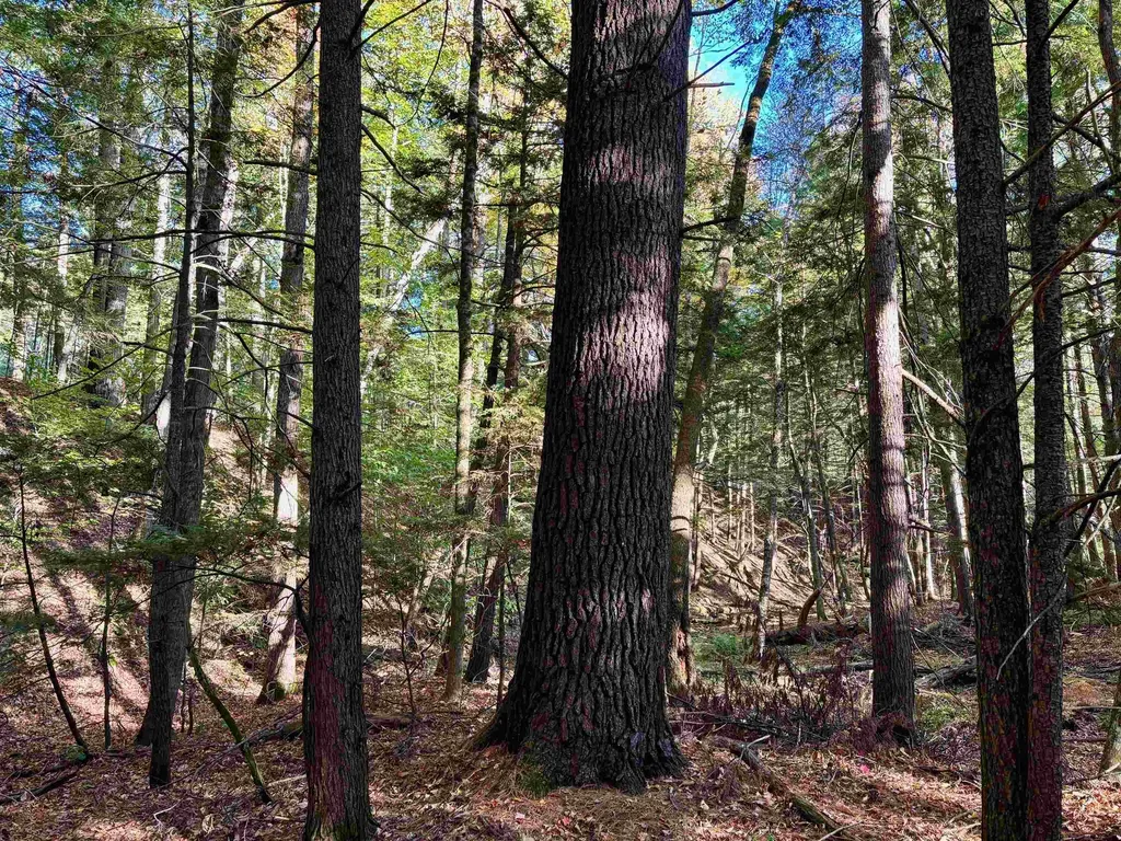 000 North Road Warner NH 03278