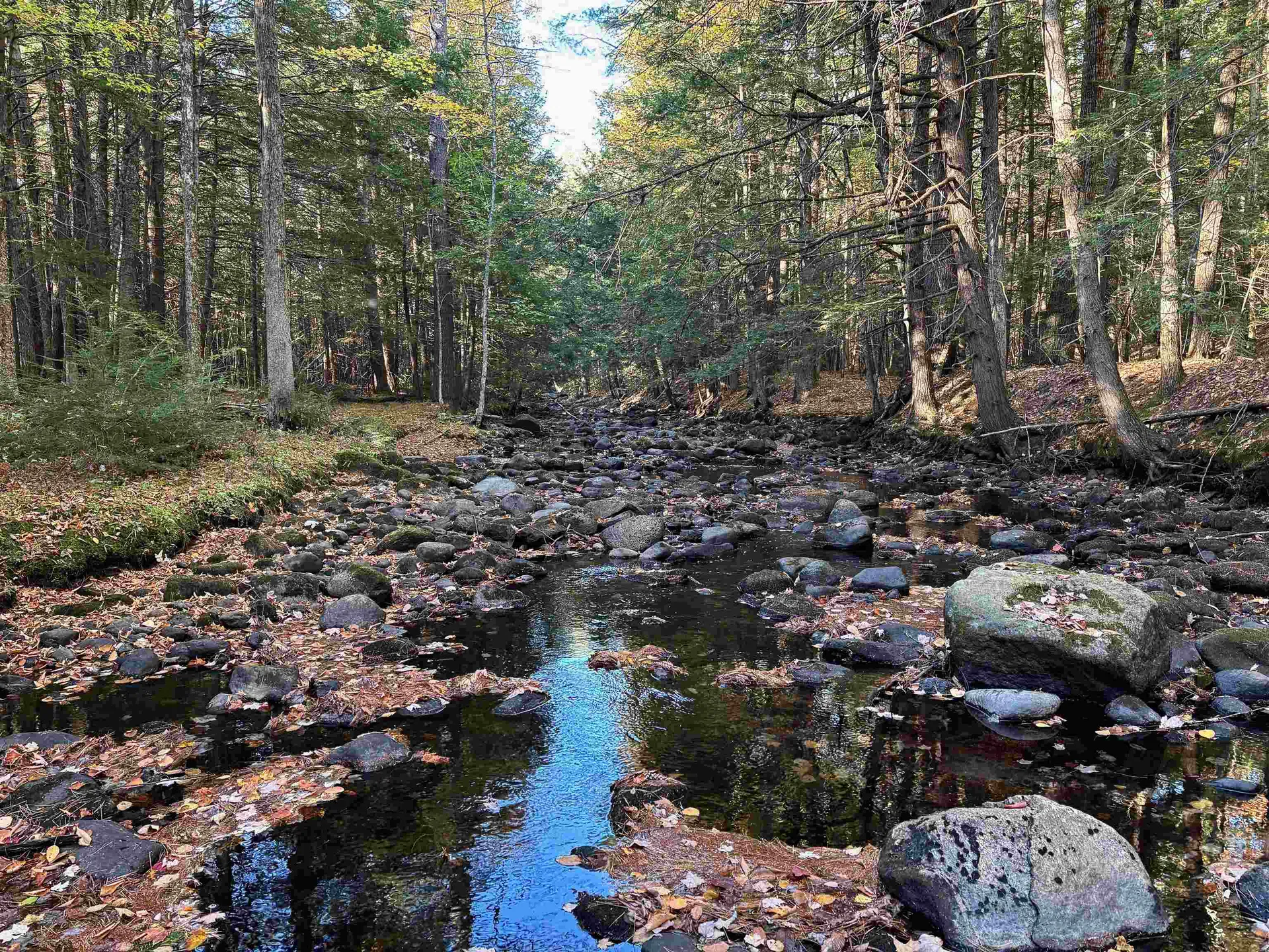 000 North Road Warner NH 03278