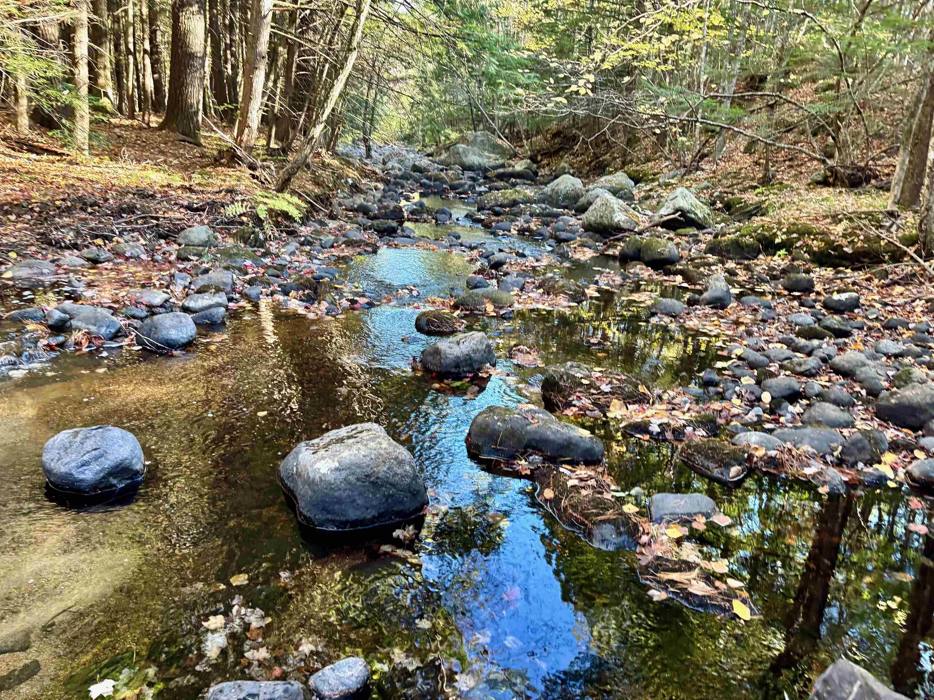 000 North Road Warner NH 03278