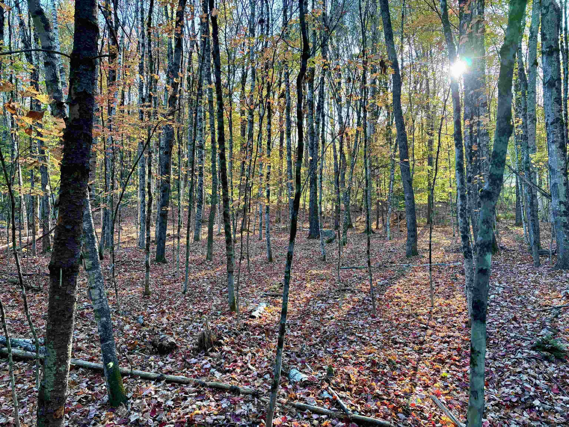 000 North Road Warner NH 03278