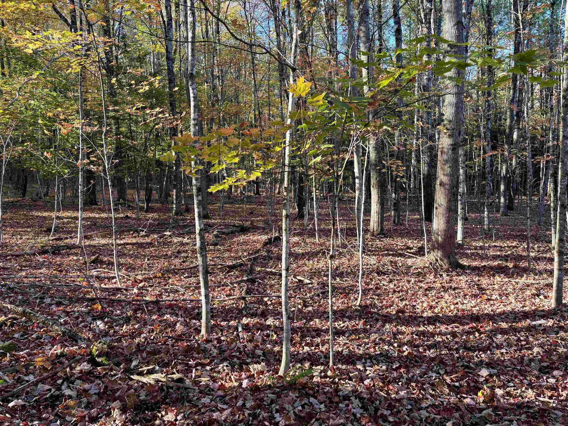 000 North Road Warner NH 03278