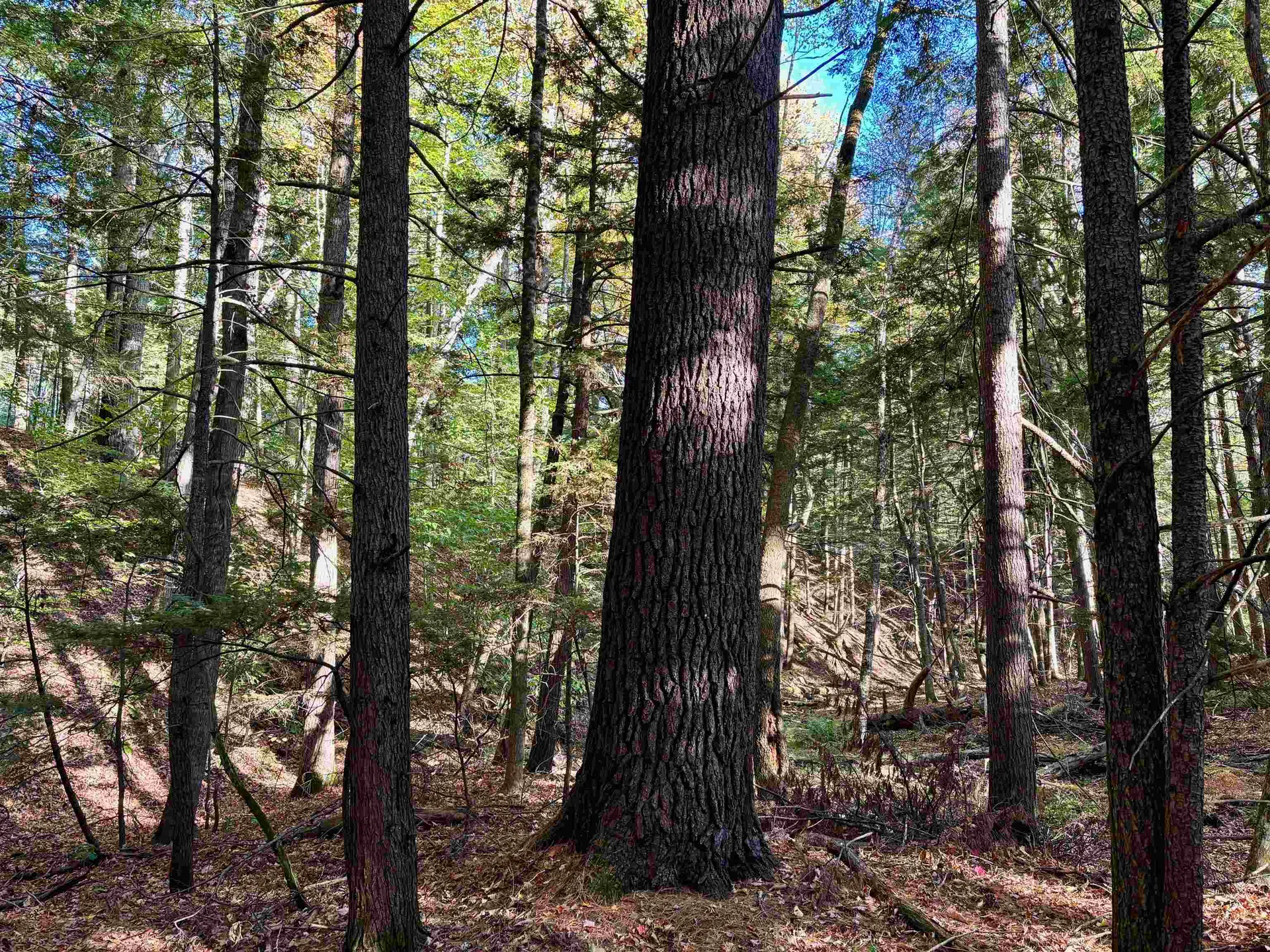 000 North Road Warner NH 03278