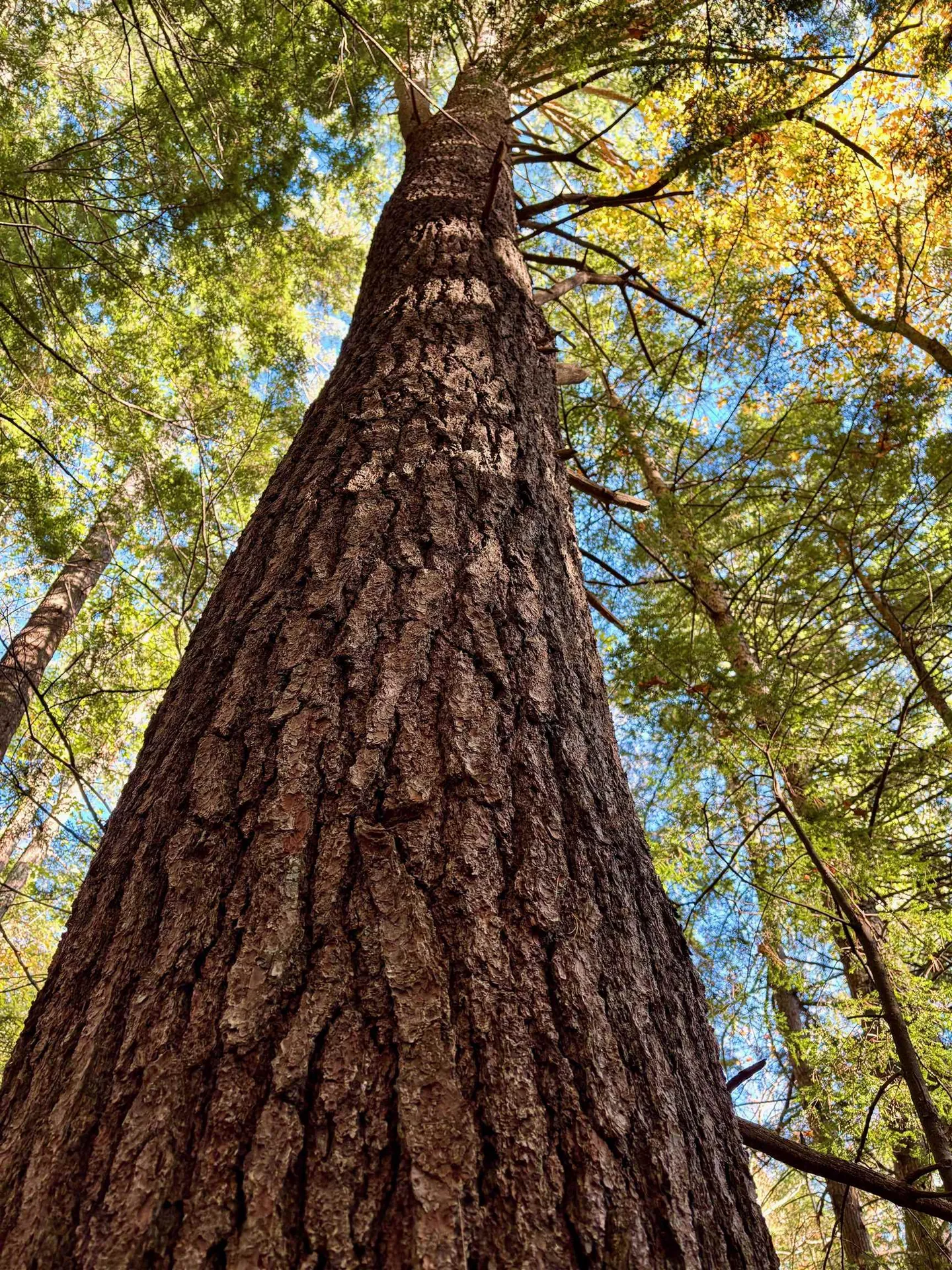 000 North Road Warner NH 03278