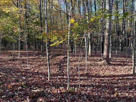 000 North Road Warner NH 03278