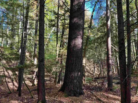 000 North Road Warner NH 03278