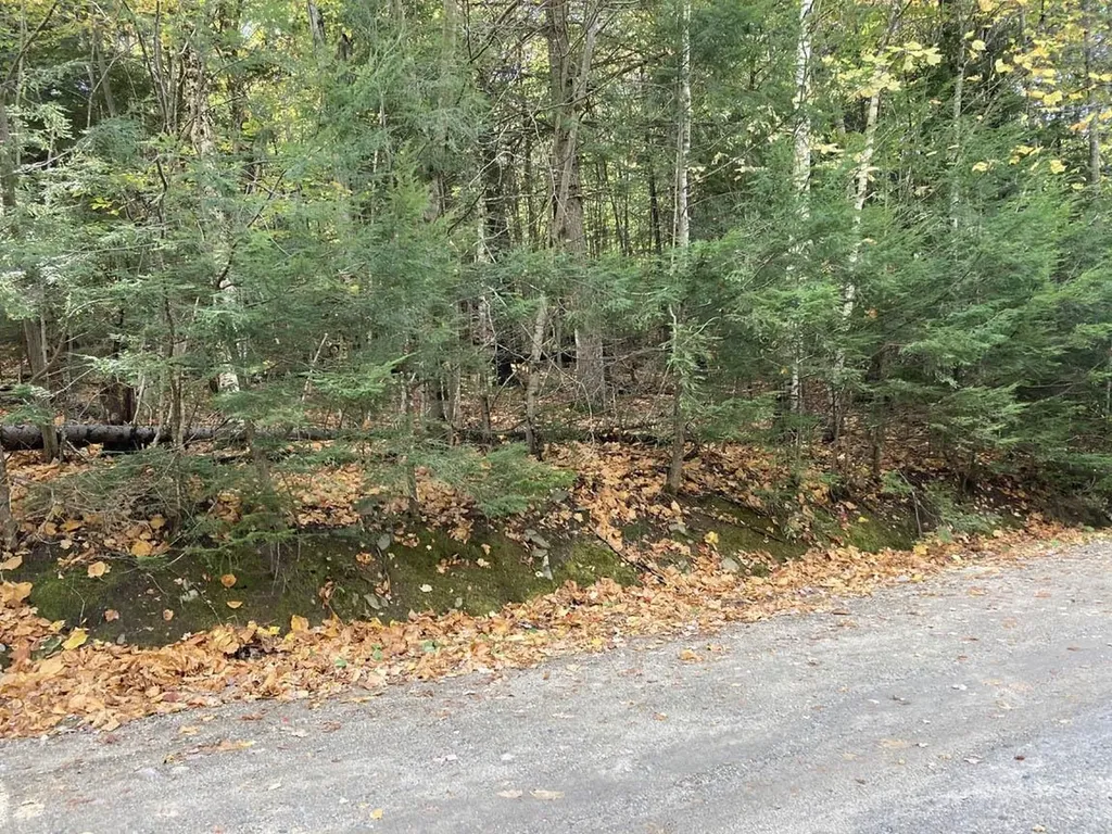 Abnaki Trail Campton NH 03223
