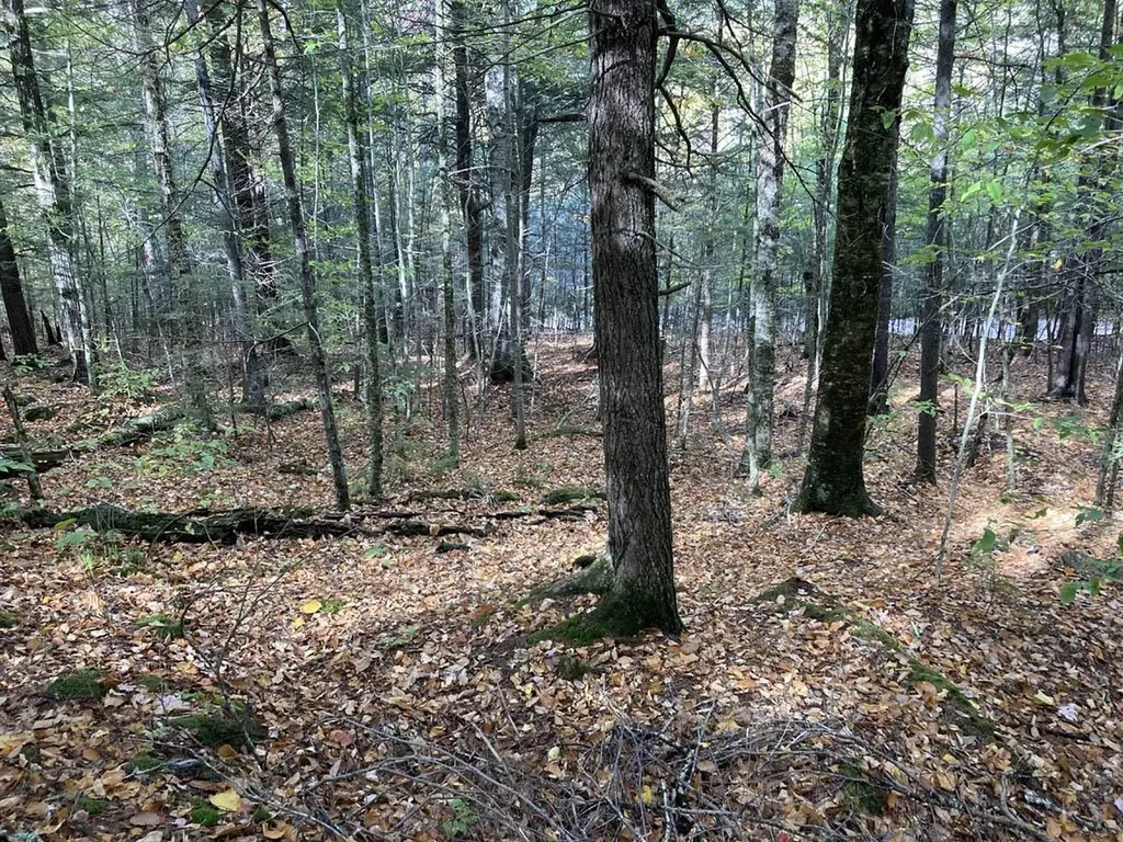Abnaki Trail Campton NH 03223