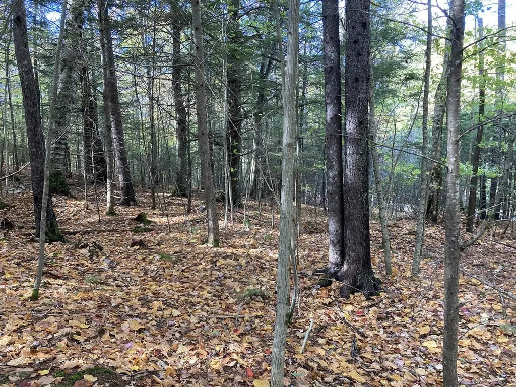 Abnaki Trail Campton NH 03223