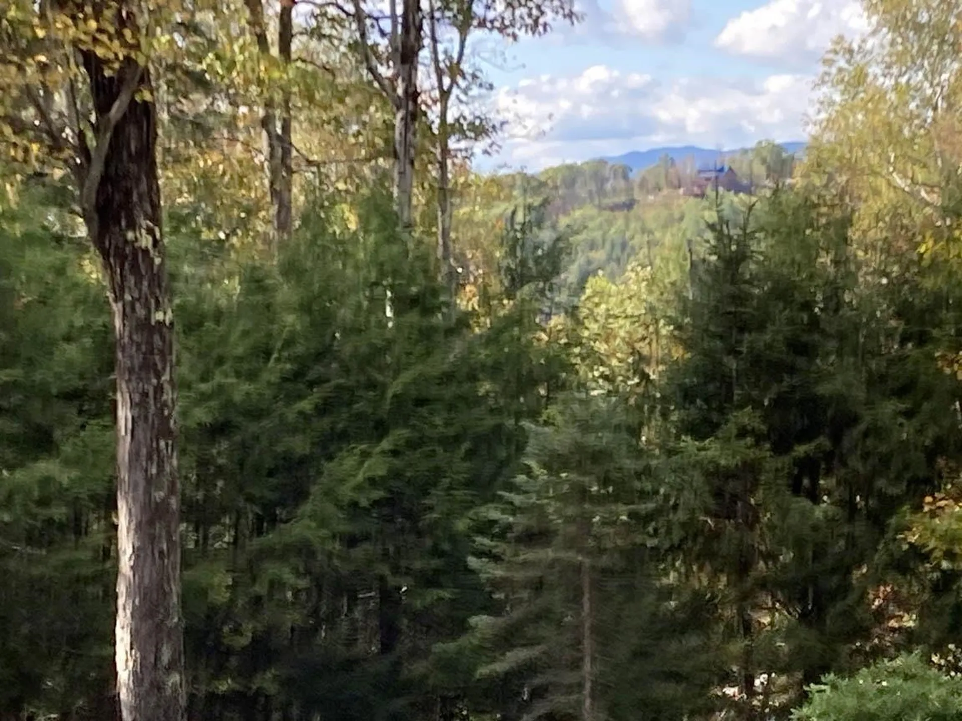 Abnaki Trail Campton NH 03223