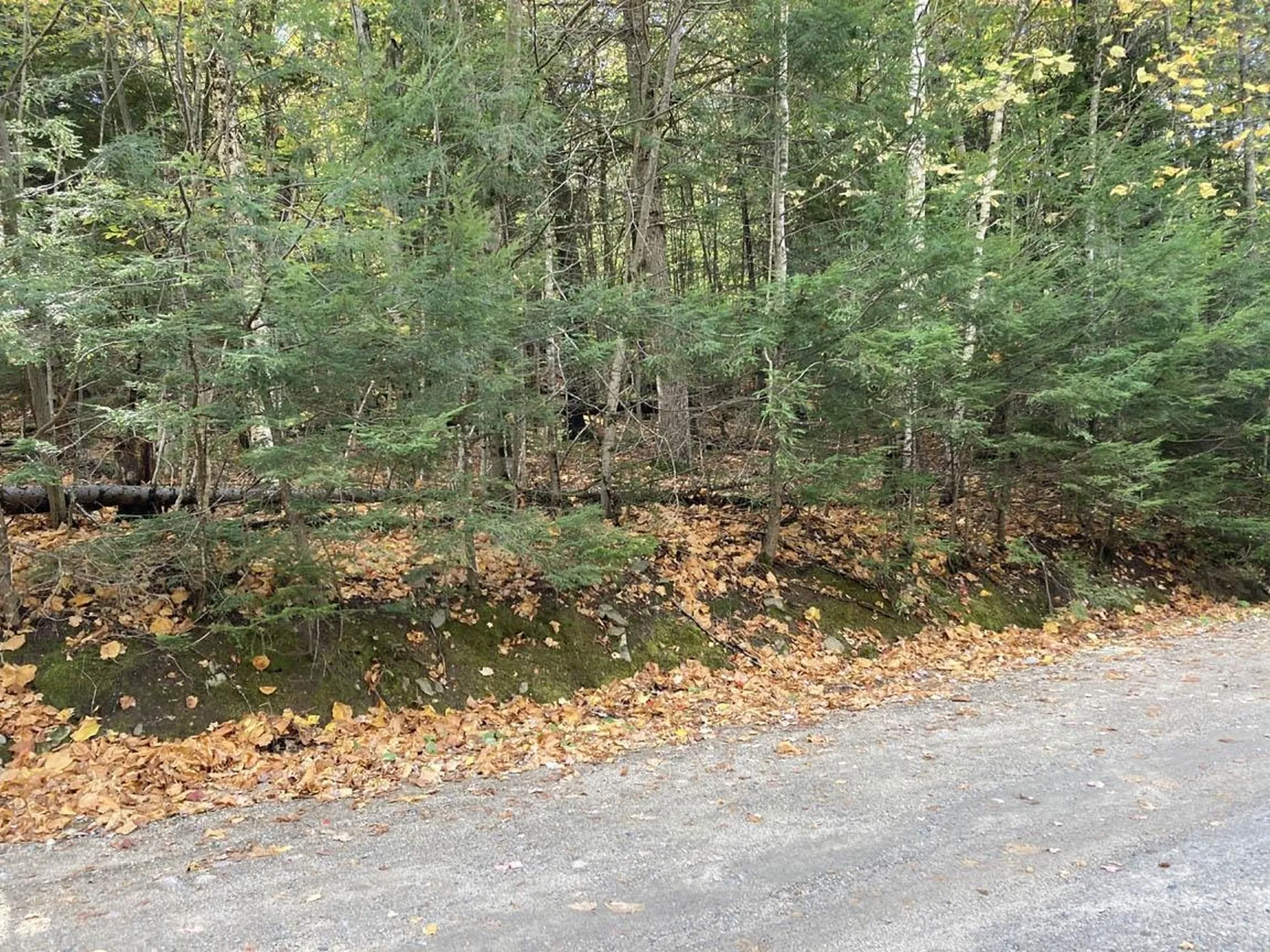 Abnaki Trail Campton NH 03223