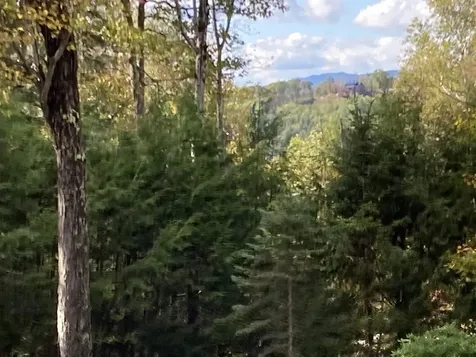 Abnaki Trail Campton NH 03223