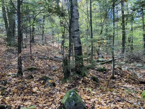 Abnaki Trail Campton NH 03223