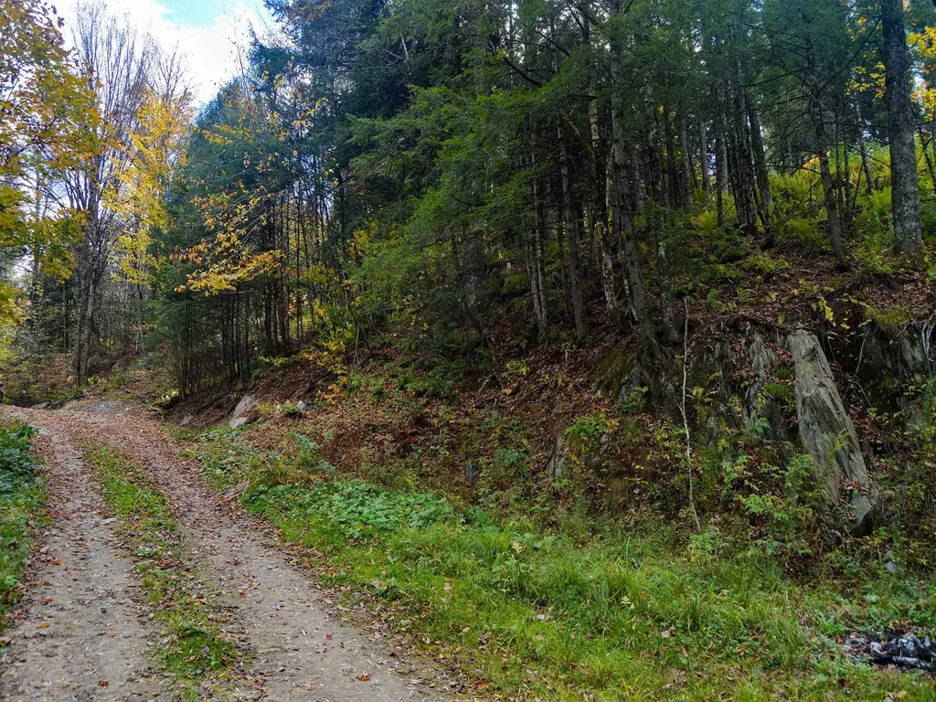 665 W Hill Road Wolcott VT 05680