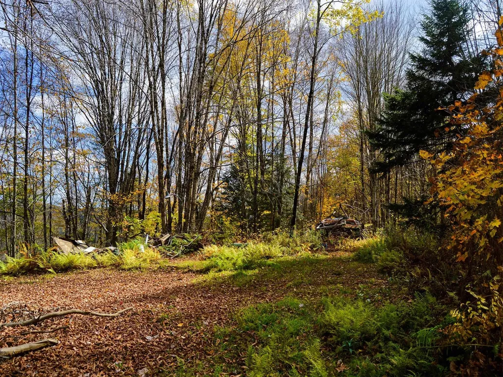 665 W Hill Road Wolcott VT 05680