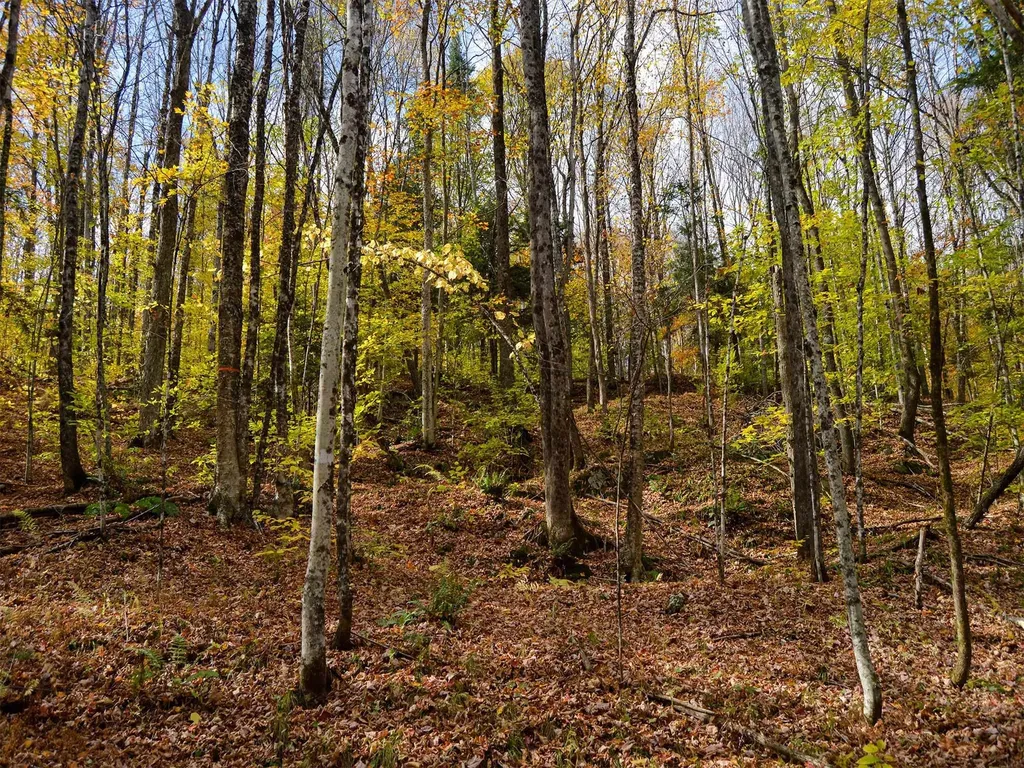 665 W Hill Road Wolcott VT 05680