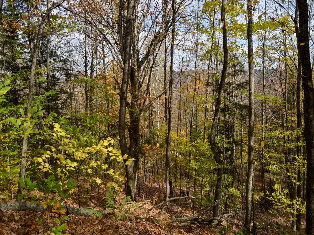 665 W Hill Road Wolcott VT 05680