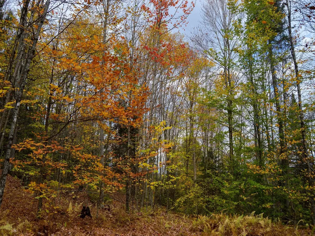 665 W Hill Road Wolcott VT 05680