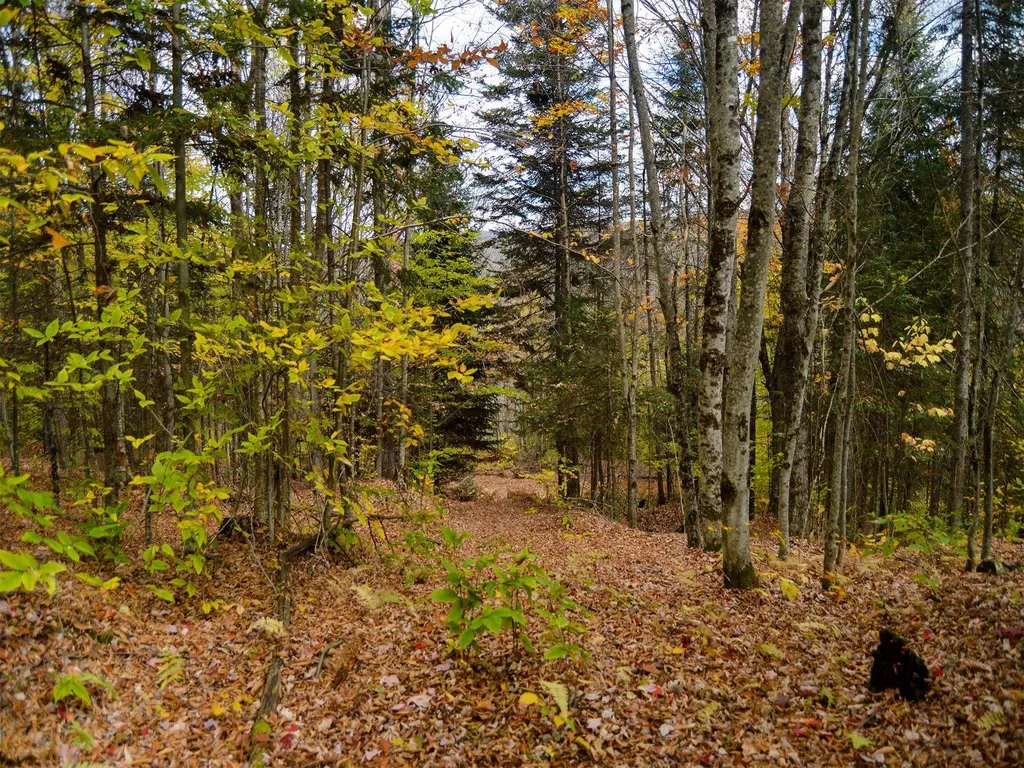 665 W Hill Road Wolcott VT 05680