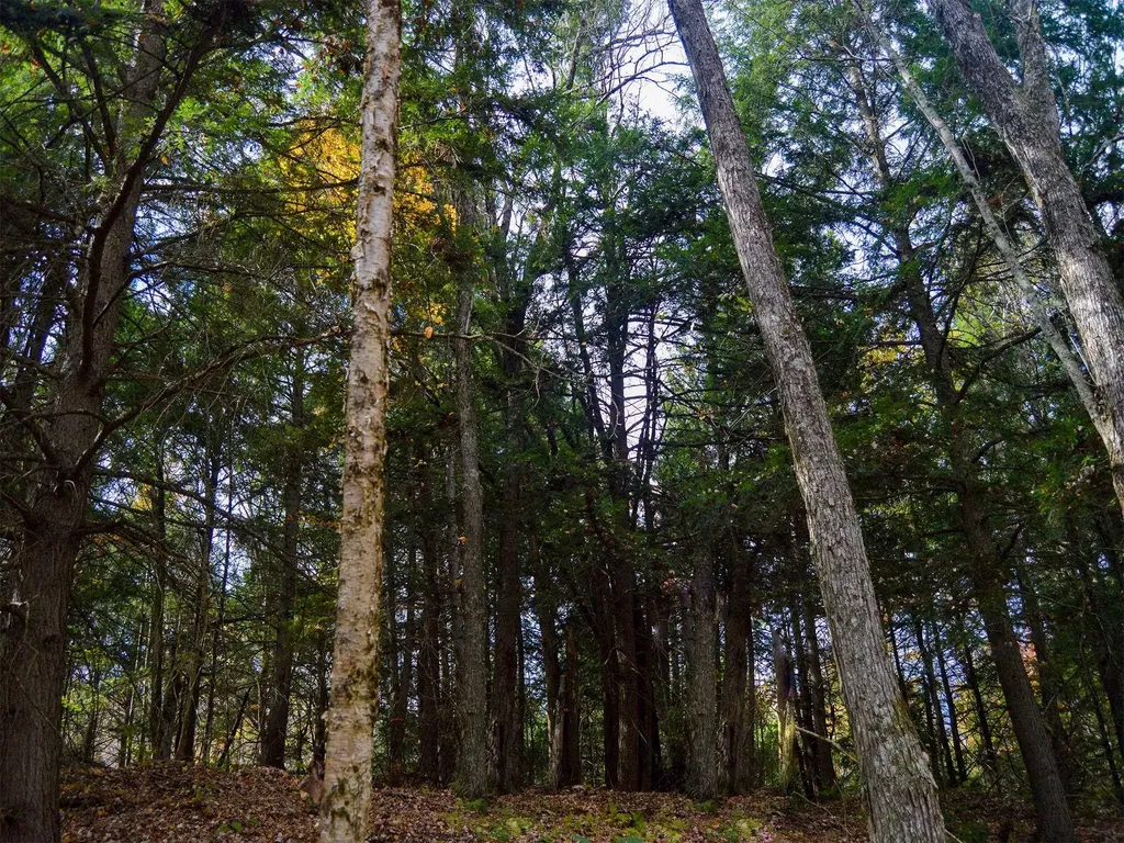 665 W Hill Road Wolcott VT 05680