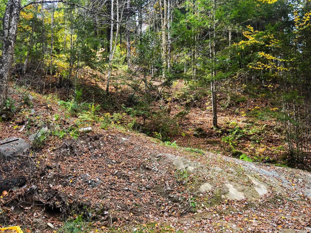 665 W Hill Road Wolcott VT 05680