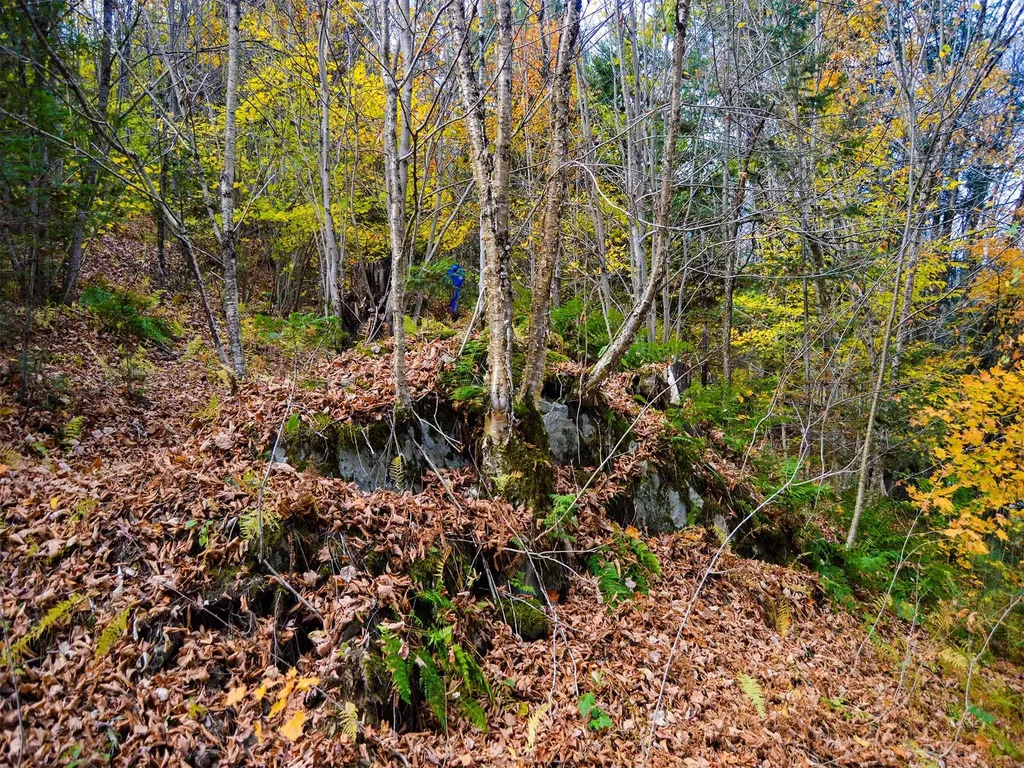 665 W Hill Road Wolcott VT 05680