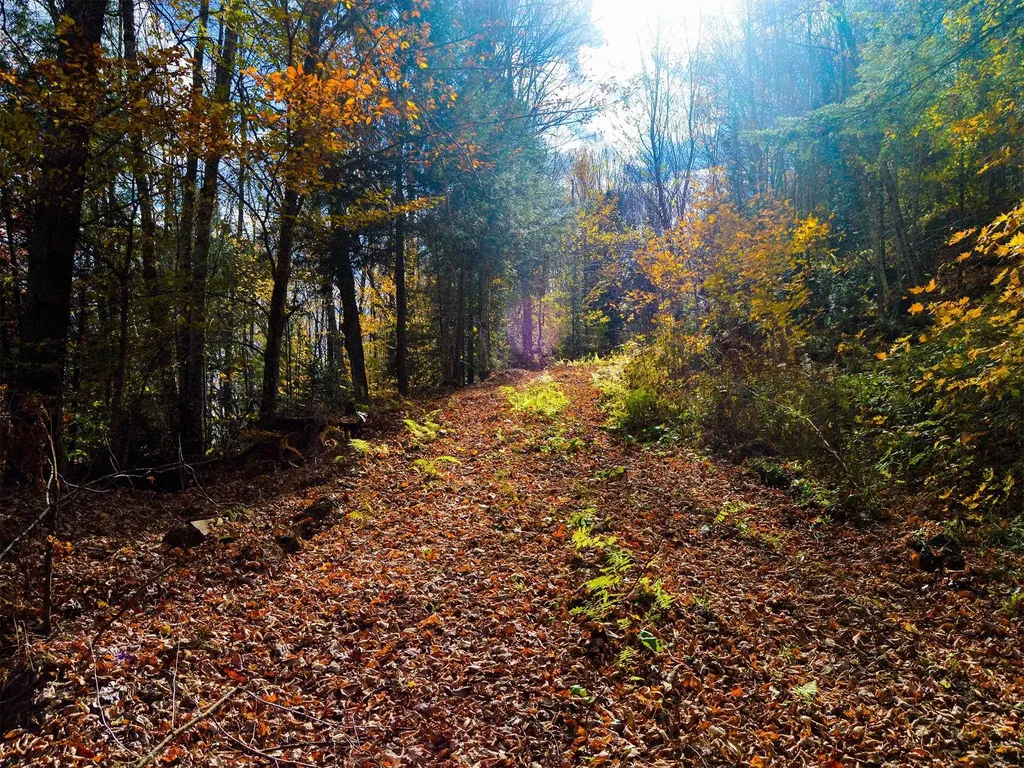 665 W Hill Road Wolcott VT 05680