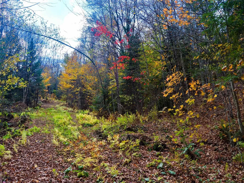 665 W Hill Road Wolcott VT 05680