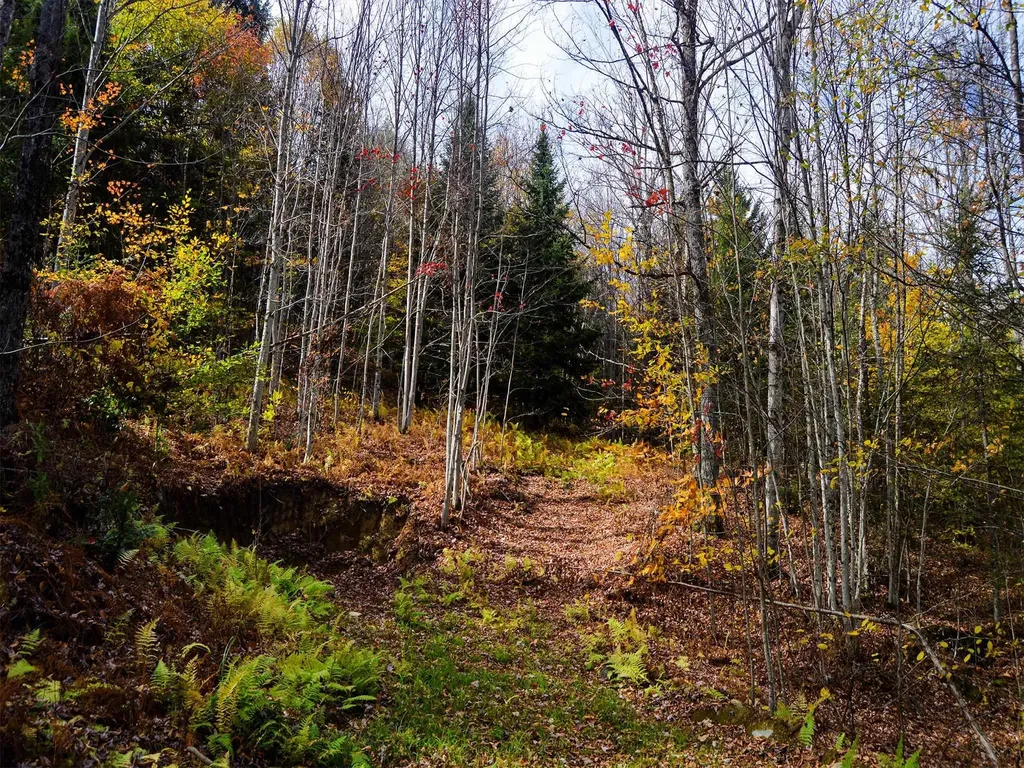 665 W Hill Road Wolcott VT 05680