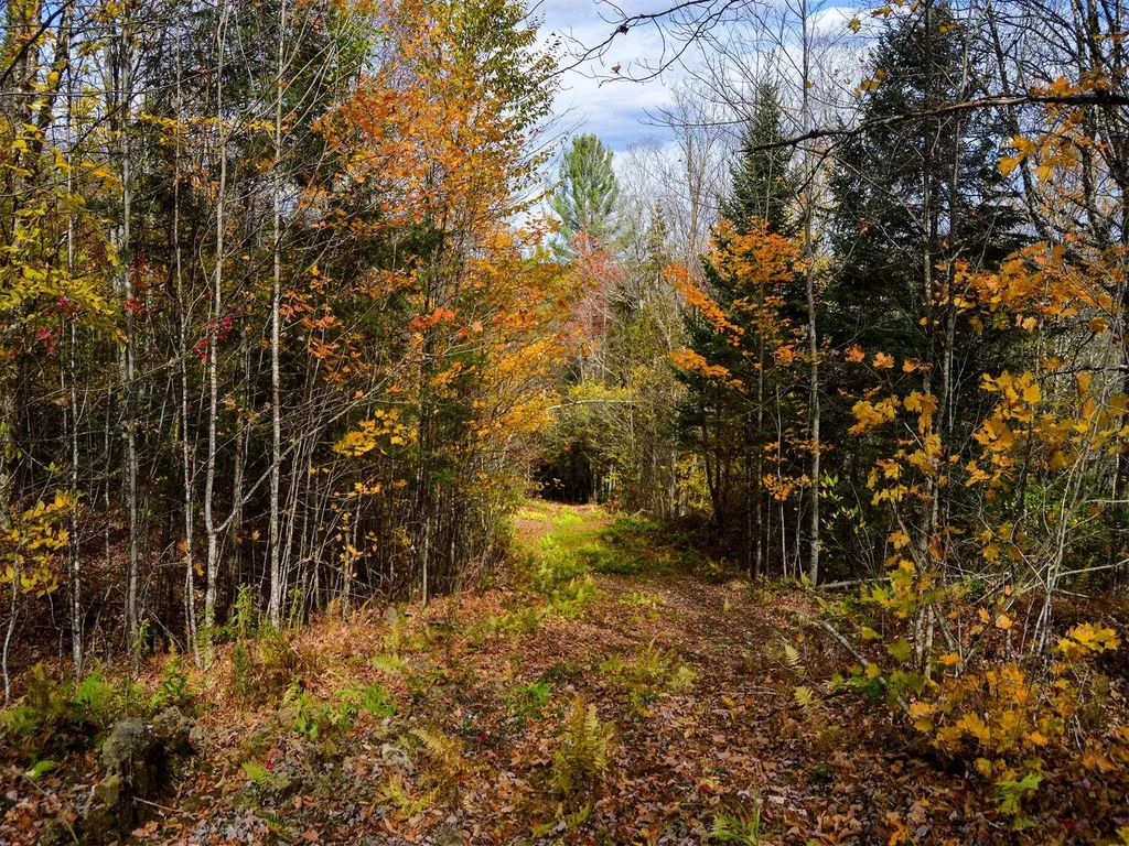 665 W Hill Road Wolcott VT 05680