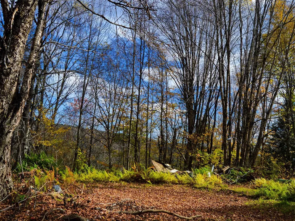 665 W Hill Road Wolcott VT 05680