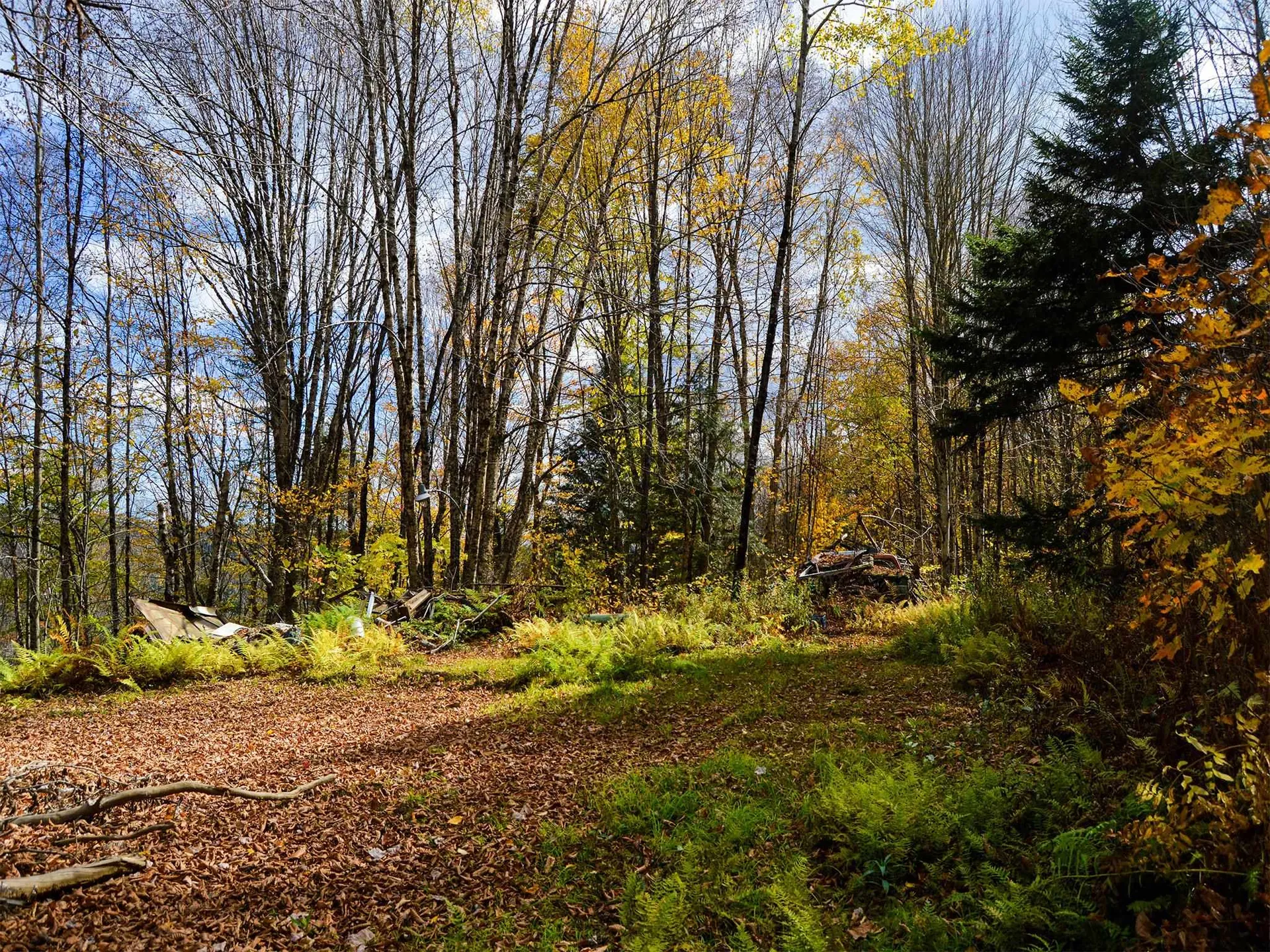 665 W Hill Road Wolcott VT 05680