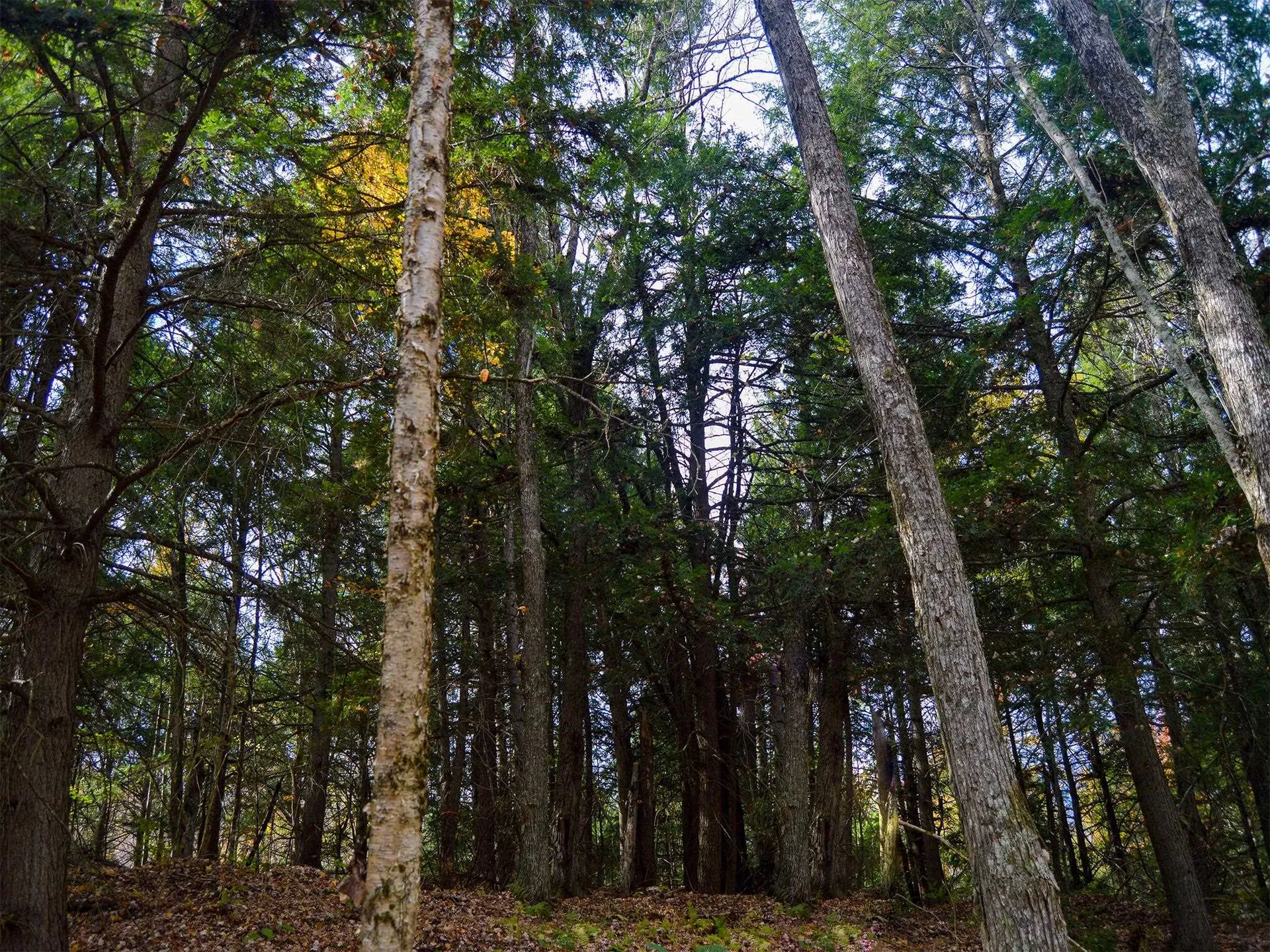 665 W Hill Road Wolcott VT 05680