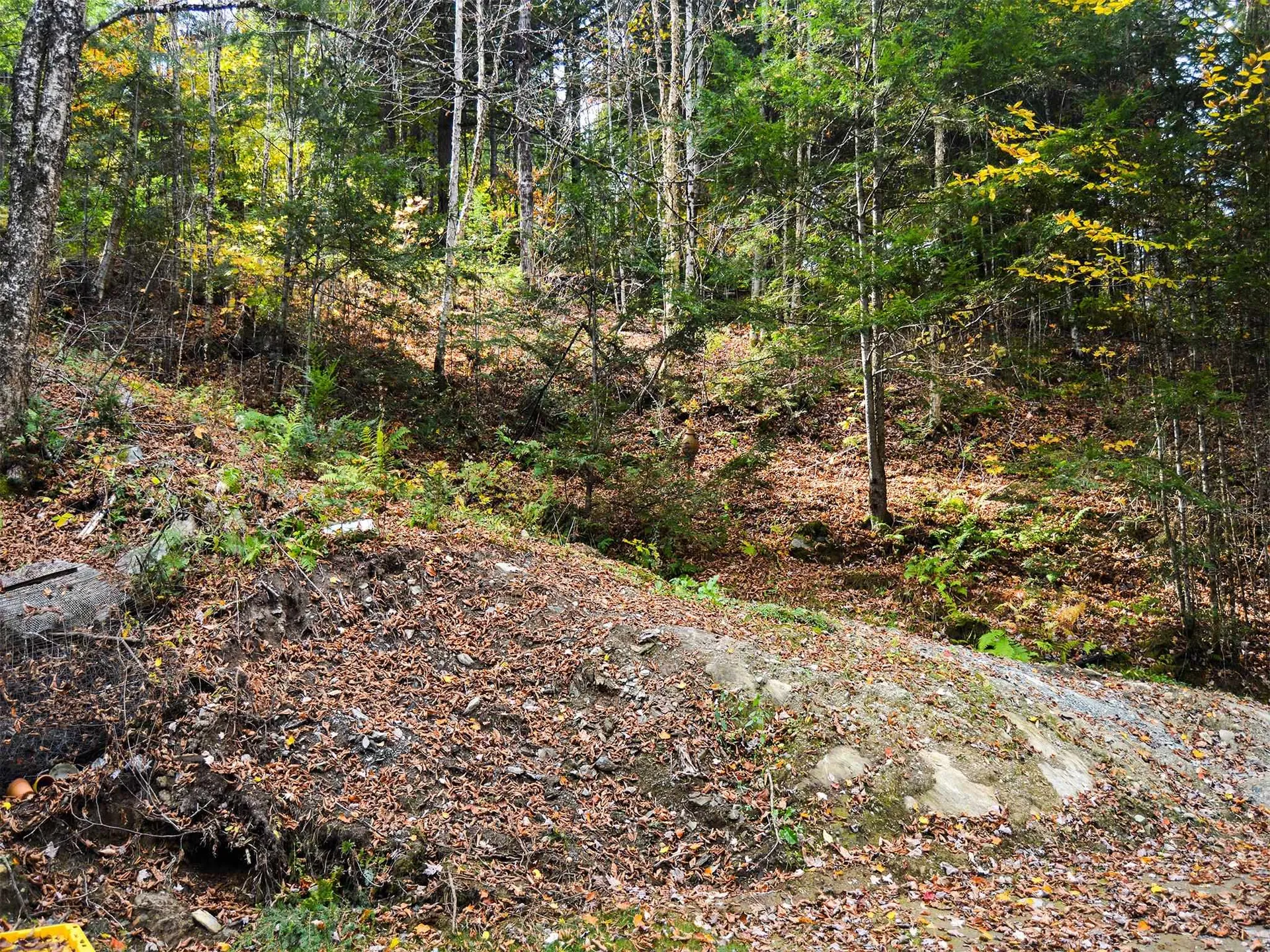 665 W Hill Road Wolcott VT 05680