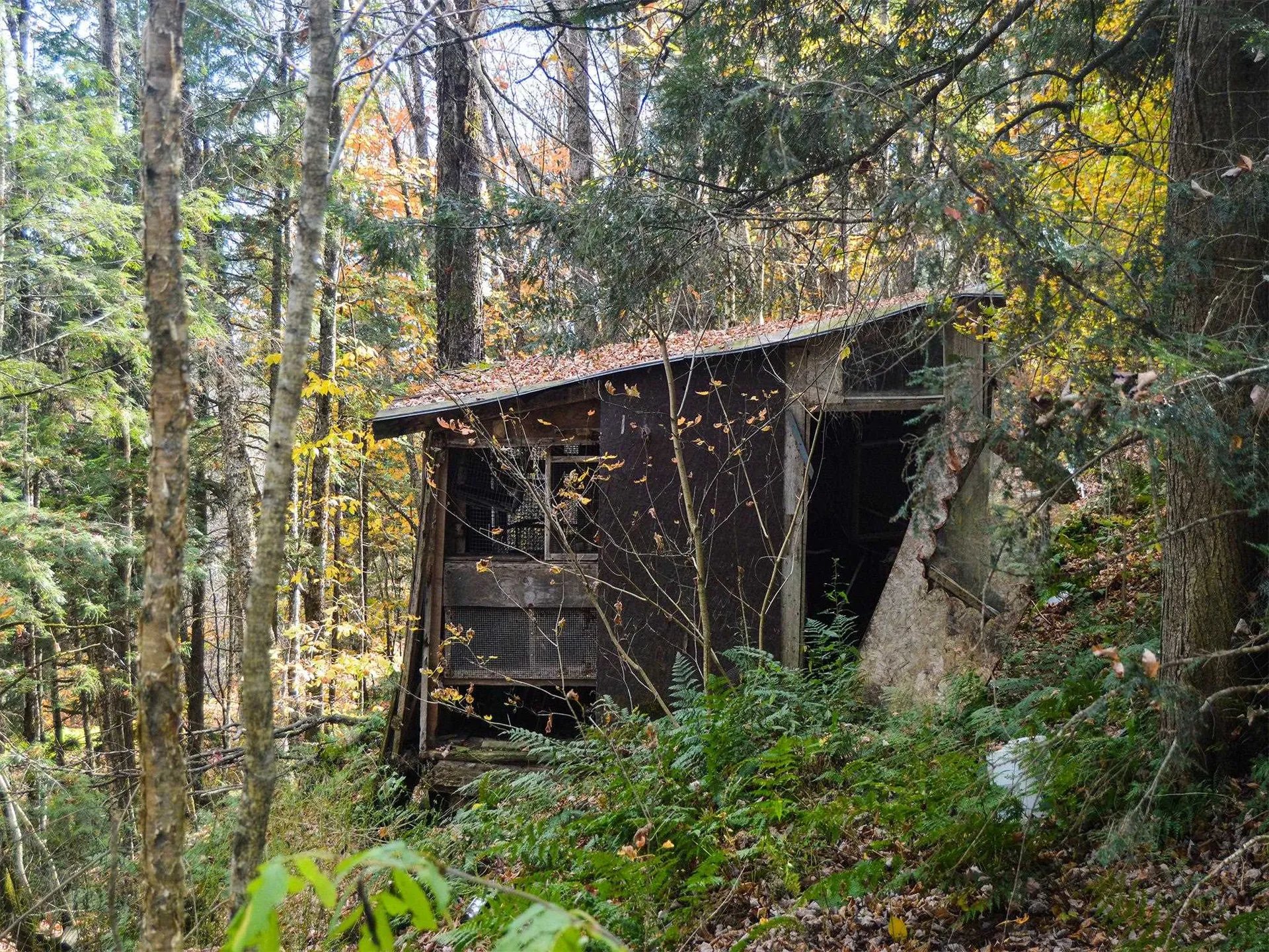 665 W Hill Road Wolcott VT 05680