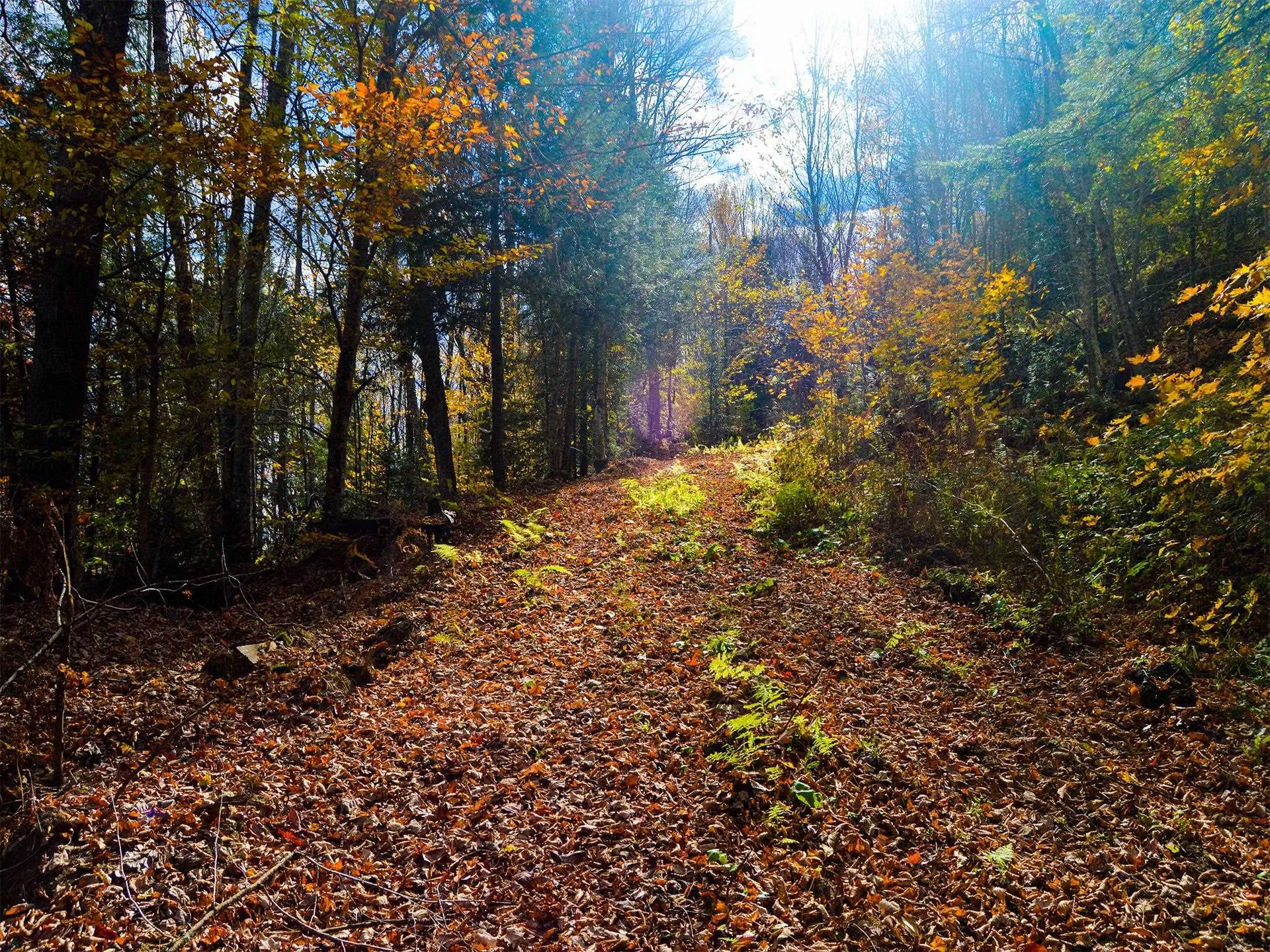 665 W Hill Road Wolcott VT 05680