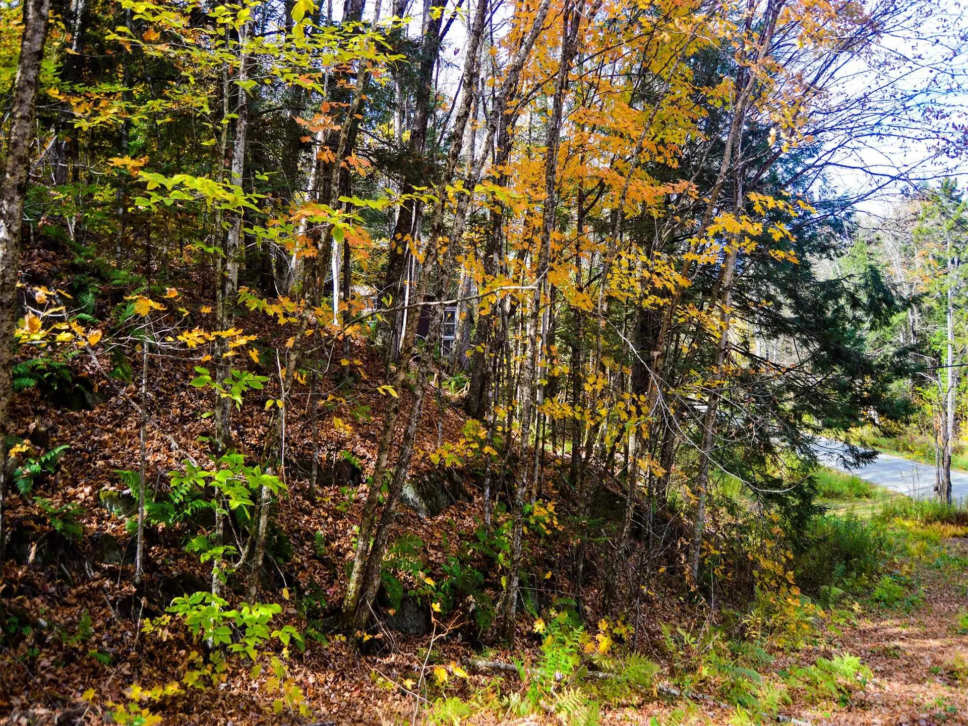 665 W Hill Road Wolcott VT 05680