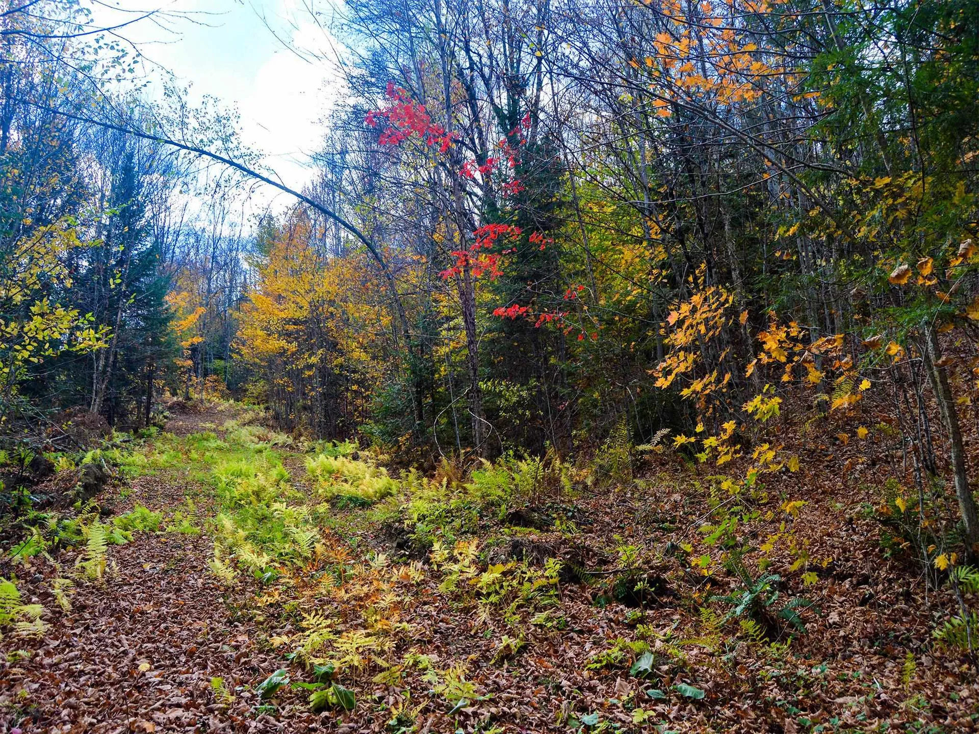 665 W Hill Road Wolcott VT 05680