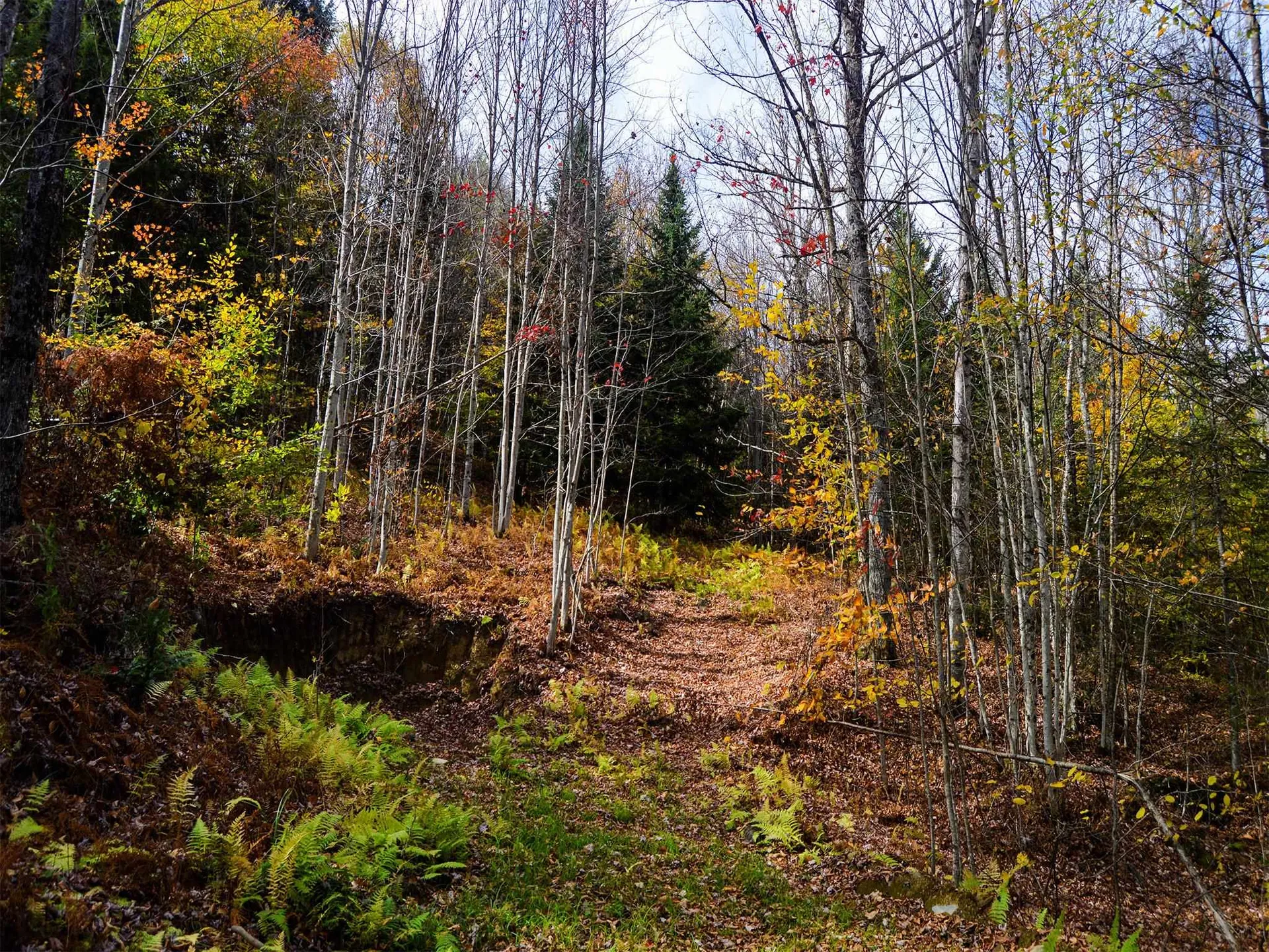 665 W Hill Road Wolcott VT 05680