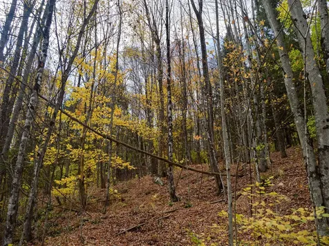 665 W Hill Road Wolcott VT 05680