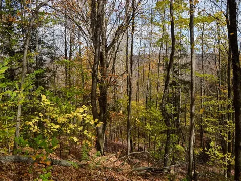 665 W Hill Road Wolcott VT 05680