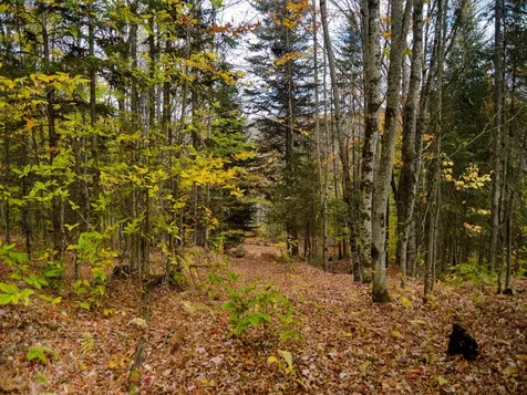 665 W Hill Road Wolcott VT 05680