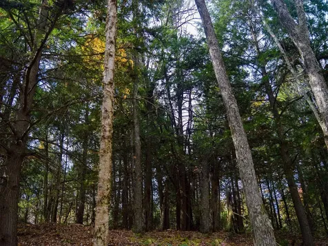 665 W Hill Road Wolcott VT 05680